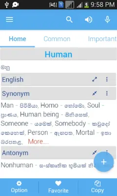 Sinhala Dictionary android App screenshot 5